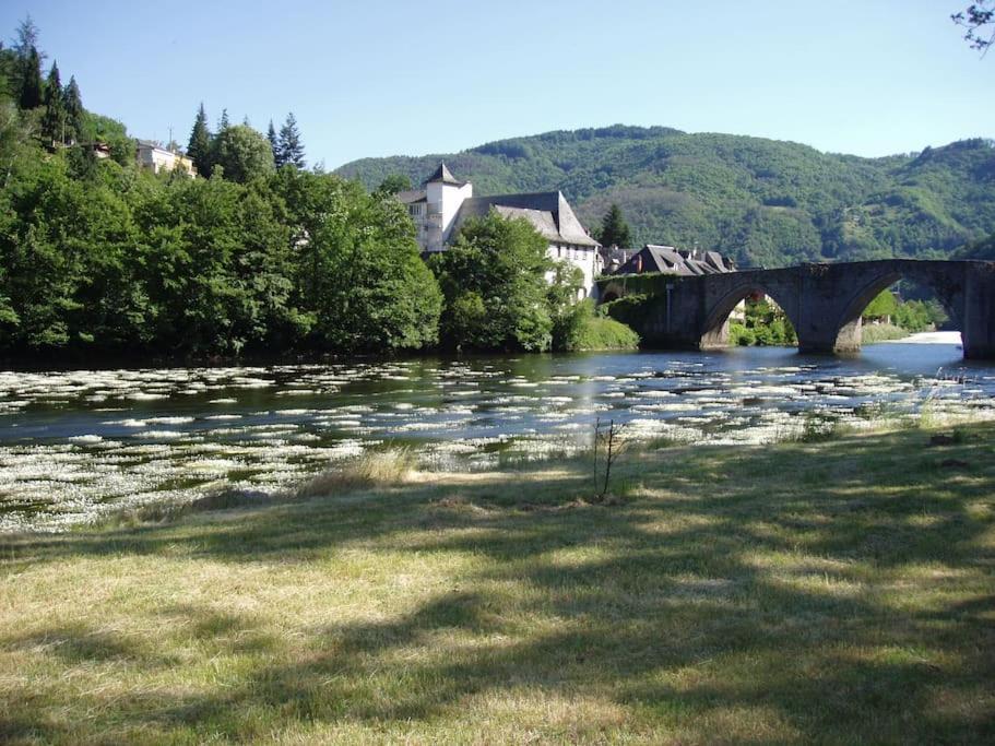 Apartamento Vue Du Pont Entraygues-sur-Truyère Exterior foto